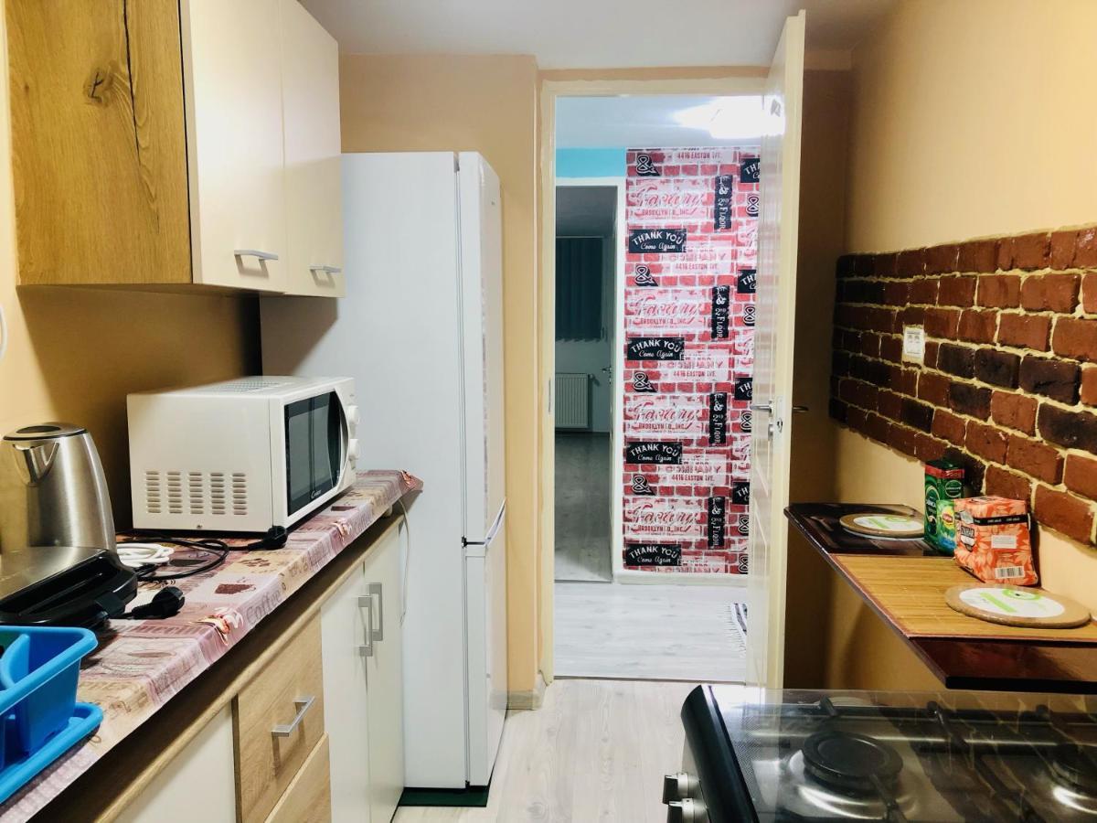 Central Park - Big Apartment - 3 Rooms - Free Parking T5 티미쇼아라 외부 사진